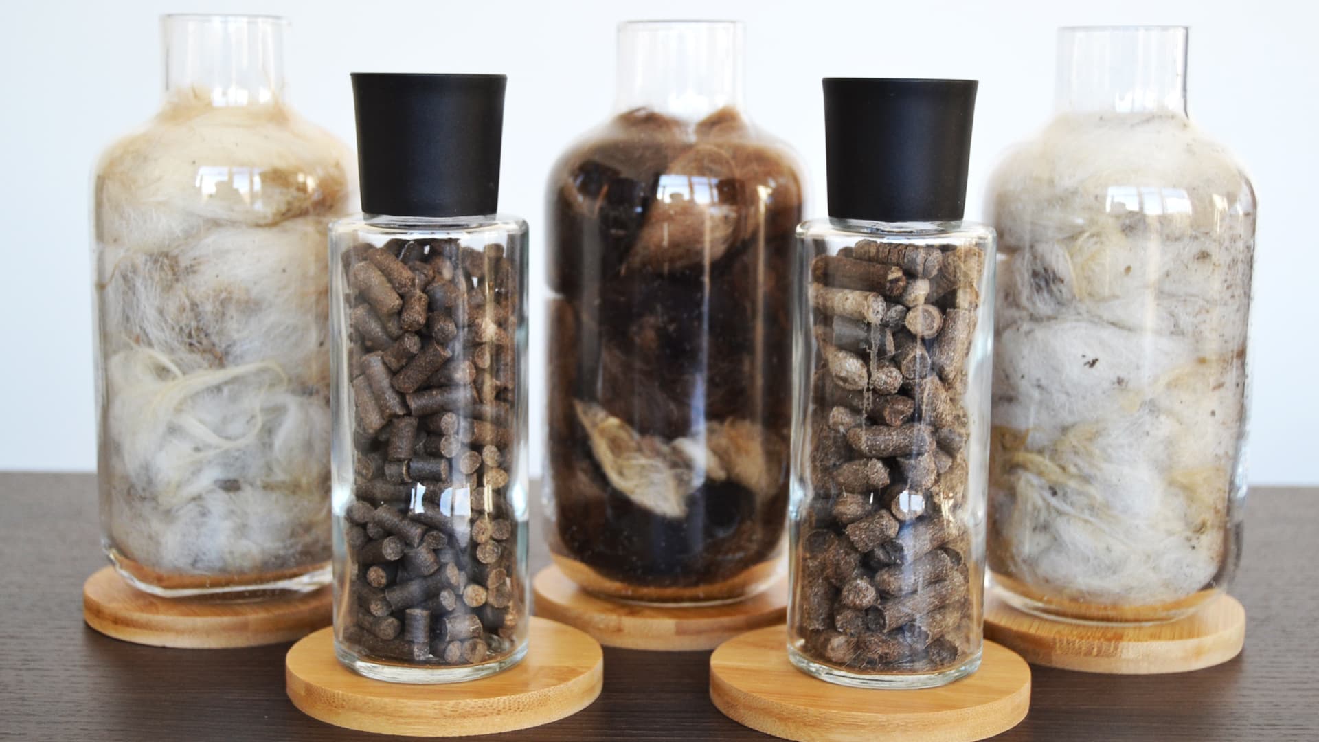 Evolution of fertilizers will start from Mongolia