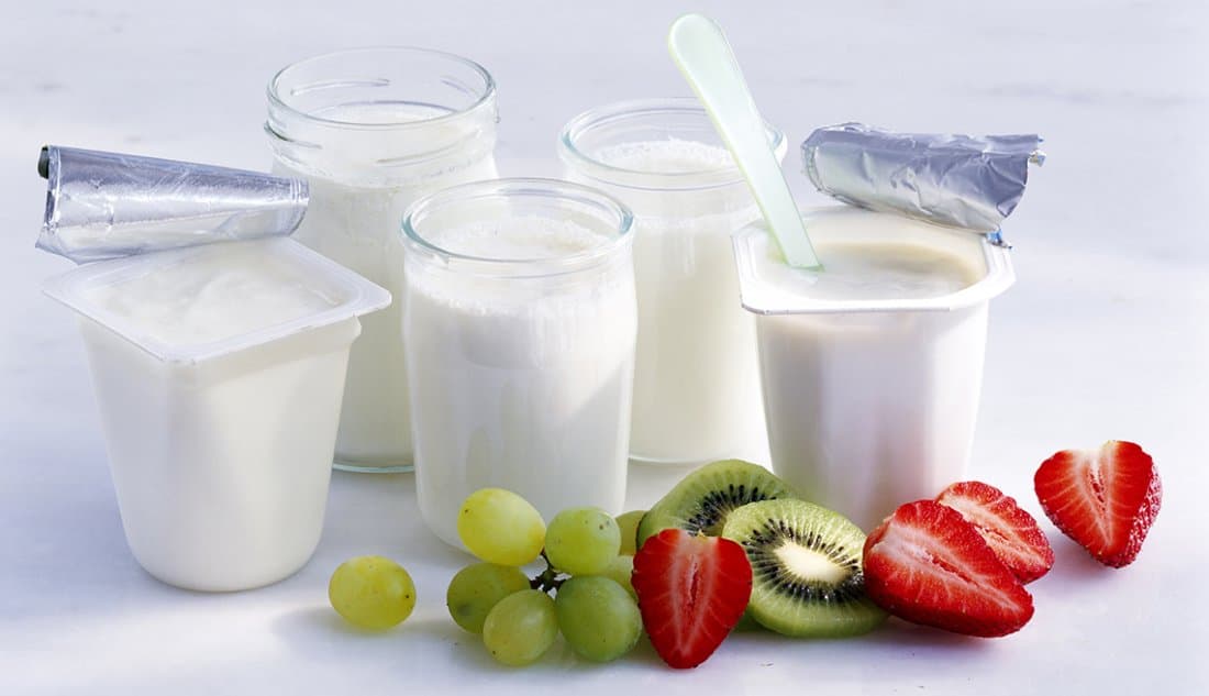Development Technology of Synbiotic Yogurt With Cholesterol Lowering Ability